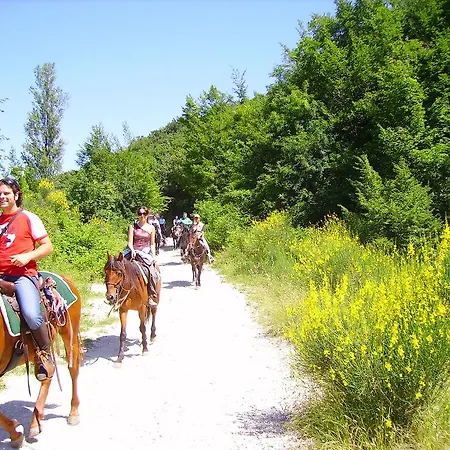 Фермерский дом Agriturismo Il Castagneto Folignano
